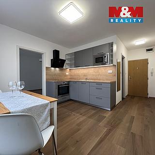 Pronájem bytu 1+1 33 m&sup2; Chomutov
