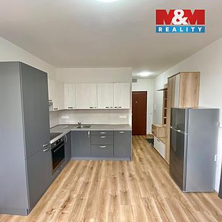 Pronájem bytu 1+1 35 m&sup2; Děčín