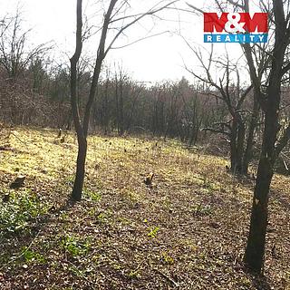 Prodej zahrady 782 m² Postoloprty Mradice