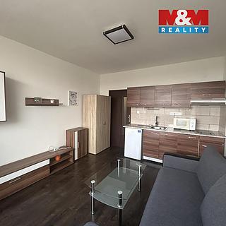 Pronájem bytu 1+kk, garsoniery 22 m&sup2; Ústí nad Labem