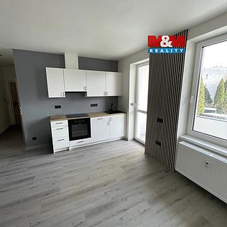 Pronájem bytu 1+kk, garsoniery 30 m&sup2; Olomouc