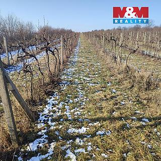 Prodej zemědělské půdy 3677 m&sup2; Morkůvky