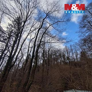 Prodej lesa 87 259 m² Nový Jičín Straník