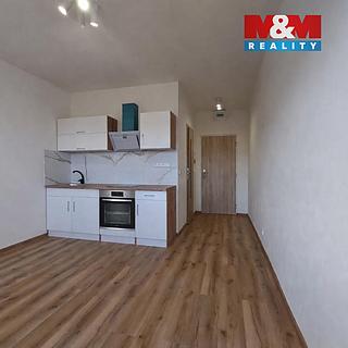 Pronájem bytu 1+kk a garsoniéry 19 m² Klášterec nad Ohří Miřetice u Klášterce nad Ohří, Královéhradecká