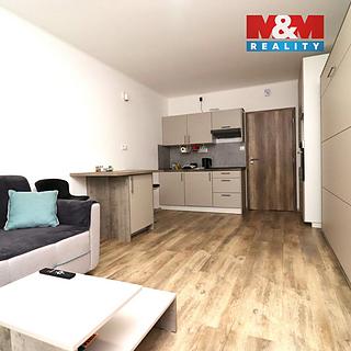 Pronájem bytu 1+kk, garsoniery 28 m&sup2; Ostrov