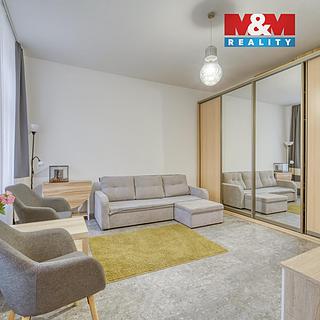 Prodej bytu 1+kk, garsoniery 30 m&sup2; Plzeň