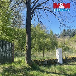 Prodej stavební parcely 3 556 m² Blatná Čekanice