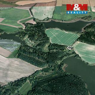 Prodej lesa 6 834 m² Dírná