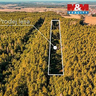 Prodej lesa 18382 m&sup2; Olešnice