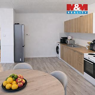 Pronájem bytu 3+1 67 m² Most, Františka Malíka