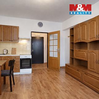 Pronájem bytu 1+kk, garsoniery 18 m&sup2; Strakonice