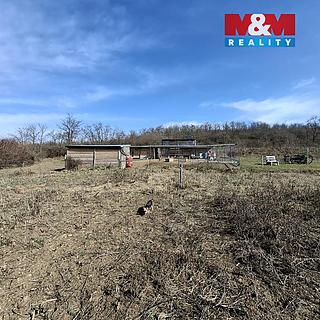 Prodej zemědělské půdy 9 944 m² Pohořelice Smolín