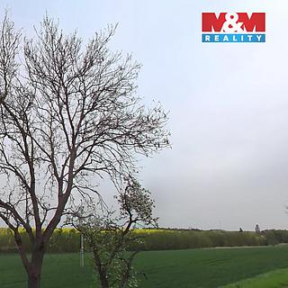 Prodej zemědělské půdy 32480 m&sup2; Tuřany