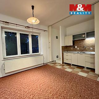 Prodej bytu 1+kk a garsoniéry 40 m² Krnov Pod Bezručovým vrchem, Březinova