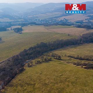 Prodej lesa 10 293 m² Dolní Habartice