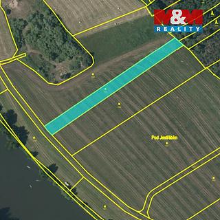 Prodej louky 2 584 m² Kladruby Třímany