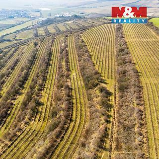 Prodej zemědělské půdy 2 424 m² Morkůvky