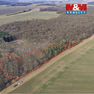 Prodej lesa 6169 m&sup2; Slatiny