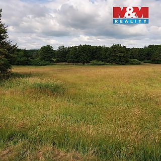 Prodej vodní plochy 753 m² Nový Bor Pihel