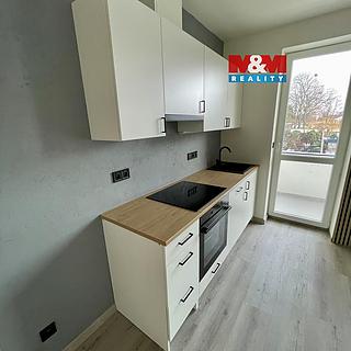Pronájem bytu 1+kk a garsoniéry 30 m² Olomouc Hodolany, Nálevkova
