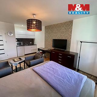 Pronájem bytu 1+kk, garsoniery 28 m&sup2; Ostrava