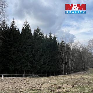 Prodej lesa 4 244 m² Košťálov Kundratice