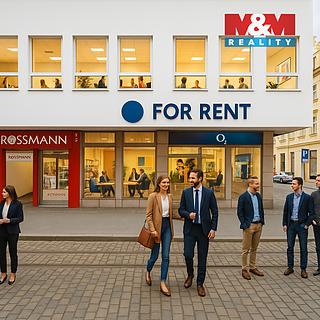 Pronájem obchodu 182 m&sup2; Plzeň