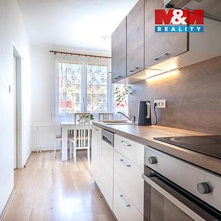 Prodej bytu 3+1 62 m&sup2; Veselí nad Lužnicí