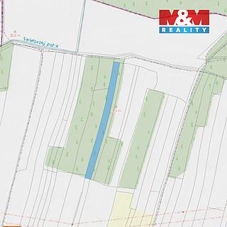 Prodej lesa 5 891 m² Veletov