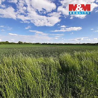 Prodej zemědělské půdy 12778 m&sup2; Olomouc