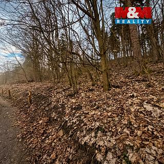 Prodej lesa 1939 m&sup2; Semily