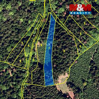 Prodej lesa 26 118 m² Rusava