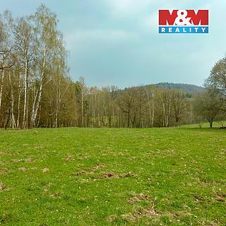 Prodej louky 55278 m&sup2; Stružnice