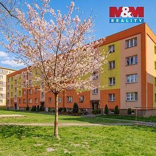 Prodej bytu 2+1 54 m² Karviná Ráj, Haškova