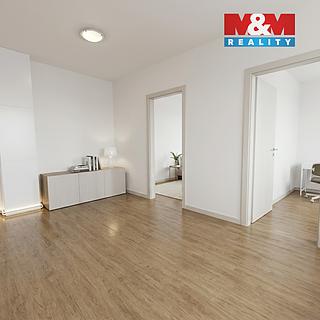 Pronájem bytu 3+1 50 m² Děčín IV-Podmokly, Teplická
