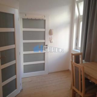 Pronájem bytu 1+1 38 m² Praha Žižkov, Cimburkova