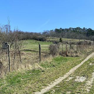 Prodej zahrady 520 m&sup2; Mikulov