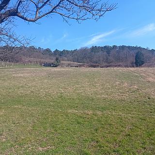 Prodej zahrady 2627 m&sup2; Mikulov