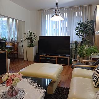 Prodej bytu 4+kk 91 m² Mikulov