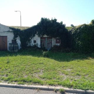 Prodej vinného sklepa 42 m² Novosedly