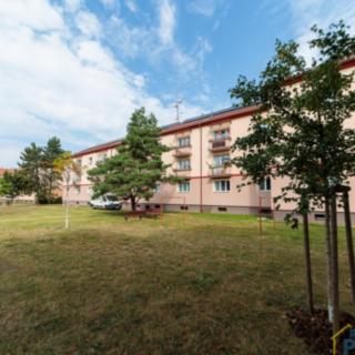 Prodej bytu 2+1 65 m² Pardubice Zelené Předměstí, Lexova