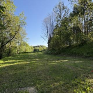 Prodej louky 1 985 m² Sušice