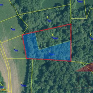 Prodej lesa 5 431 m² Žihobce Rozsedly