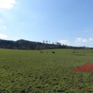 Prodej stavební parcely 11860 m² Janovice nad Úhlavou