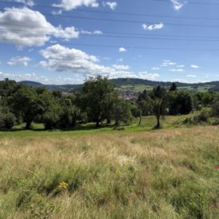 Prodej zahrady 10167 m² Sušice