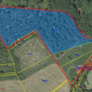 Prodej louky 17502 m² Nezdice na Šumavě