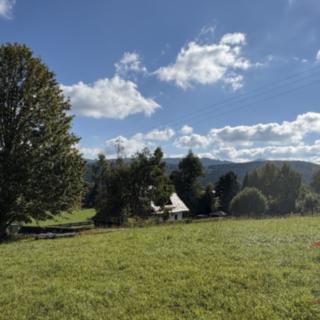 Prodej zahrady 110 m² Srní