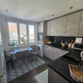 Prodej bytu 3+1 69 m² Malonty