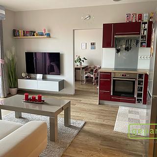 Prodej bytu 3+kk 55 m² České Budějovice 5, Dobrovodská