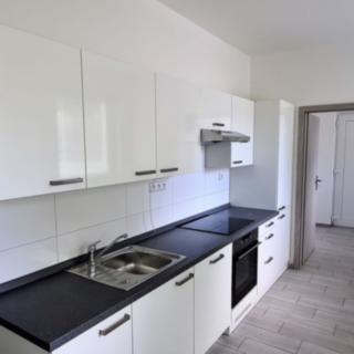 Pronájem bytu 3+kk 75 m² Homole Nové, Korosecká